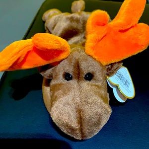 Chocolate the Moose original Ty beanie baby.